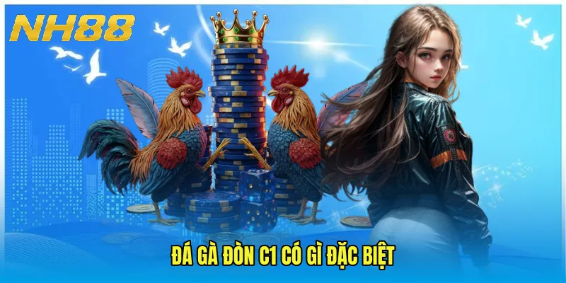 Đá gà đòn C1 có gì đặc biệt
