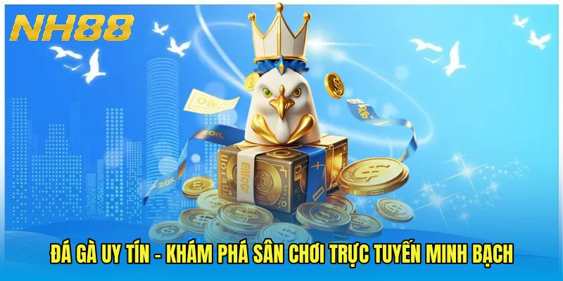 Đá Gà Uy Tín - Khám Phá Sân Chơi Trực Tuyến Minh Bạch