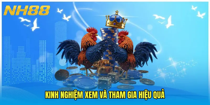 Kinh nghiệm xem và tham gia hiệu quả